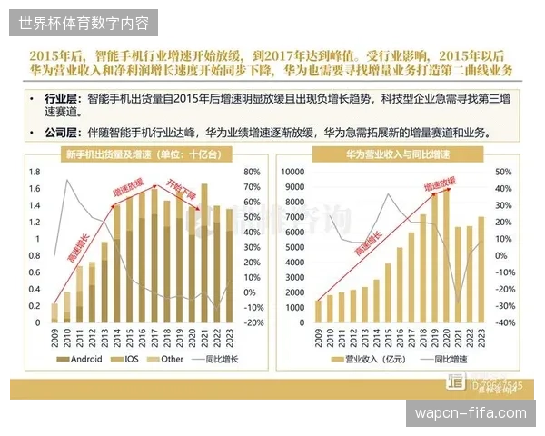未来三年云转播版权分层将向县域体育市场延伸以获取增量价值 未来三年云转播版权分层将向县域体育市场延伸以获取增量价值